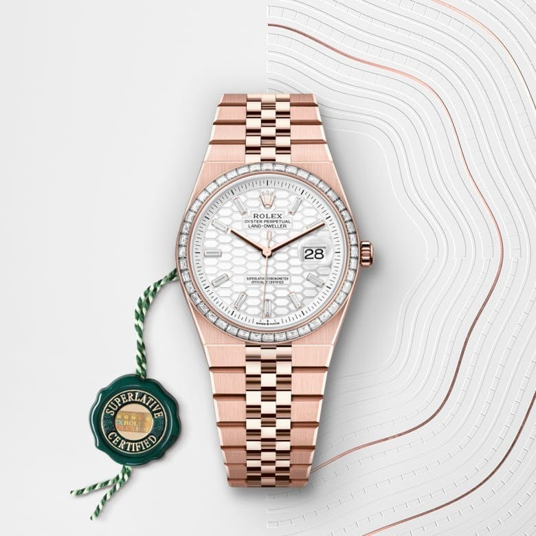 Rolex Land-Dweller 36 Oyster, 36 mm, Everose gold and diamonds